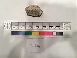 Stucco Fragment