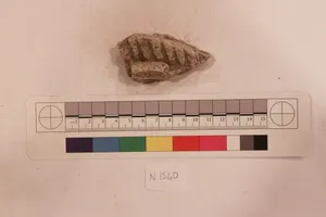 Stucco Fragment by Unknown Artist