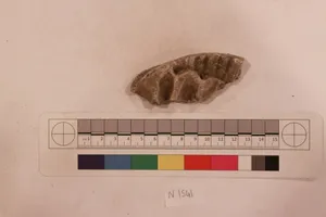 Stucco Fragment by Unknown Artist