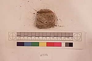 Stucco Fragment