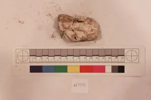 Stucco Fragment by Unknown Artist