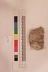 Stucco Fragment