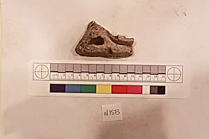 Stucco Fragment