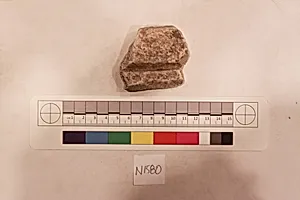 Stucco Fragment