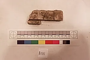 Stucco Fragment