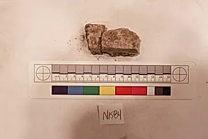 Stucco Fragment