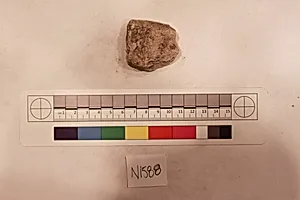Stucco Fragment