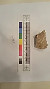 Stucco Fragment