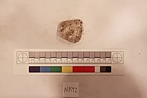 Stucco Fragment