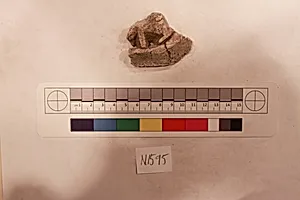 Stucco Fragment