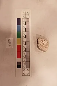 Stucco Fragment by Unknown Artist