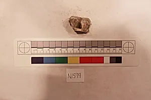 Stucco Fragment