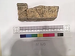 Stucco Fragment