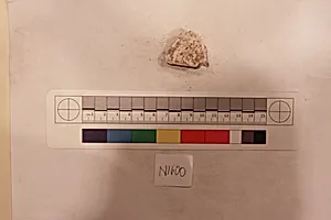 Stucco Fragment