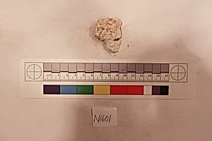 Stucco Fragment by Unknown Artist
