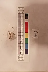 Stucco Fragment by Unknown Artist