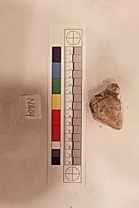 Stucco Fragment by Unknown Artist