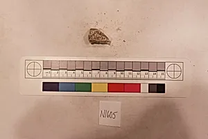 Stucco Fragment by Unknown Artist