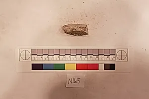 Stucco Fragment