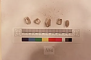 Stucco Fragment