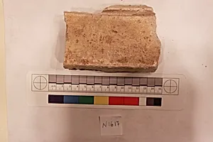 Stucco Fragment