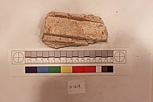 Stucco Fragment
