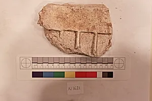 Stucco Fragment