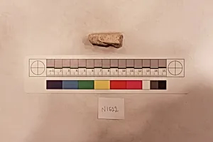 Stucco Fragment