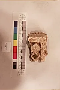 Stucco Fragment