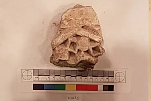 Stucco Fragment