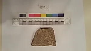 Stucco Fragment