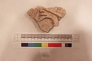 Stucco Fragment