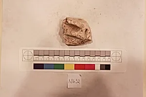 Stucco Fragment by Unknown Artist