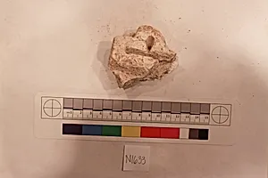 Stucco Fragment