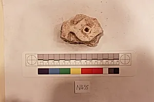 Stucco Fragment