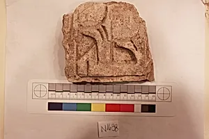 Stucco Fragment