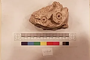 Stucco Fragment
