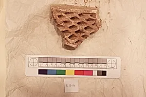 Stucco Fragment