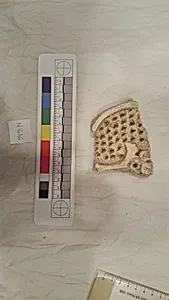Stucco Fragment