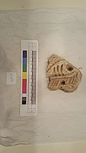 Stucco Fragment