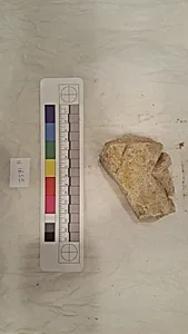 Stucco Fragment