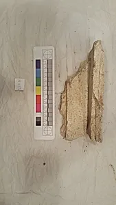Stucco Fragment
