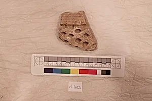 Stucco Fragment