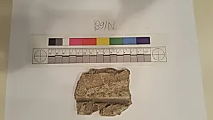 Stucco Fragment
