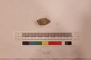 Stucco Fragment
