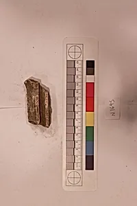 Stucco Fragment by Unknown Artist