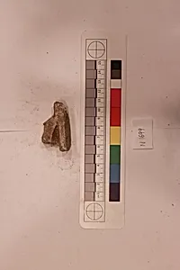 Stucco Fragment by Unknown Artist