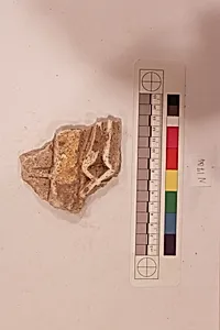 Stucco Fragment