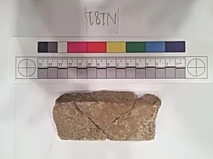 Stucco Fragment