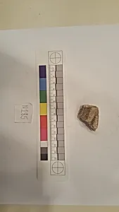 Stucco Fragment